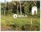Land For Sale In HORANA